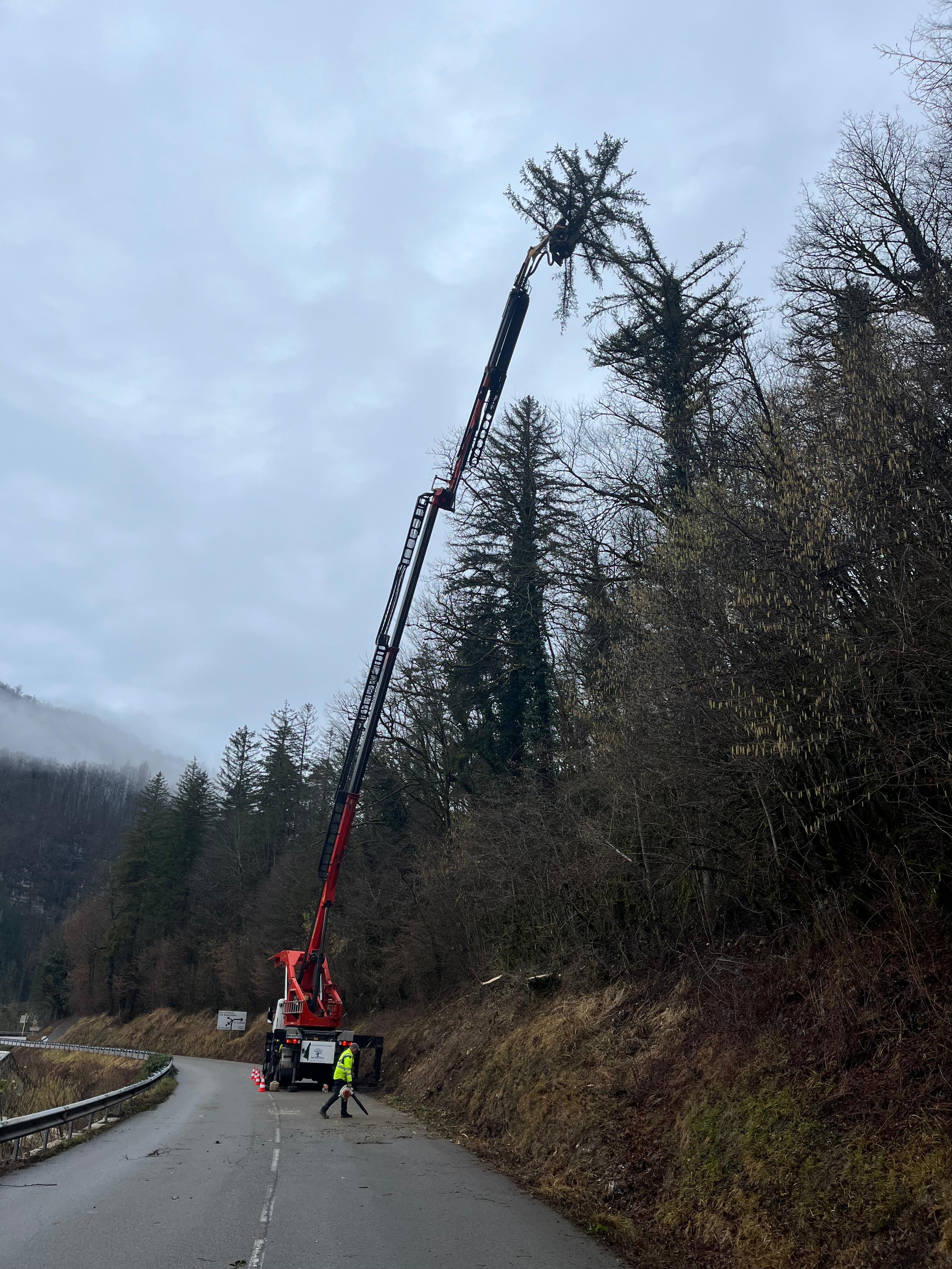 Sécurisation de route par abattage d'arbres dans le Jura — SAS POLYVIER